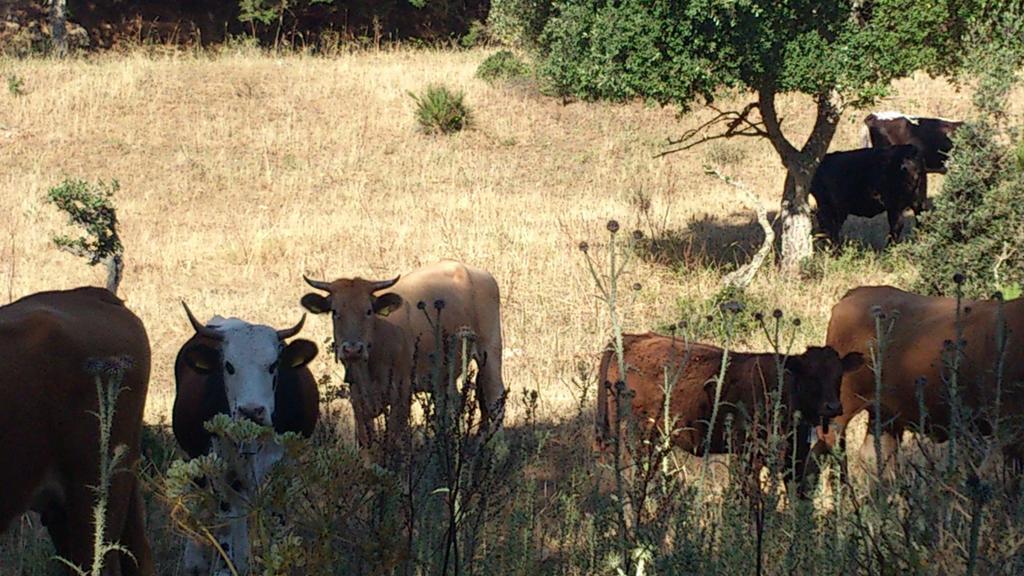 Riserva Del Noce Caltagirone Exteriér fotografie
